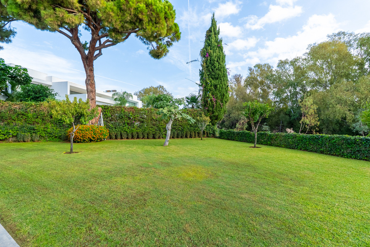 undefined thumbnail 16