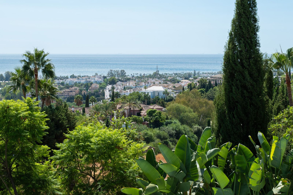 undefined thumbnail 17