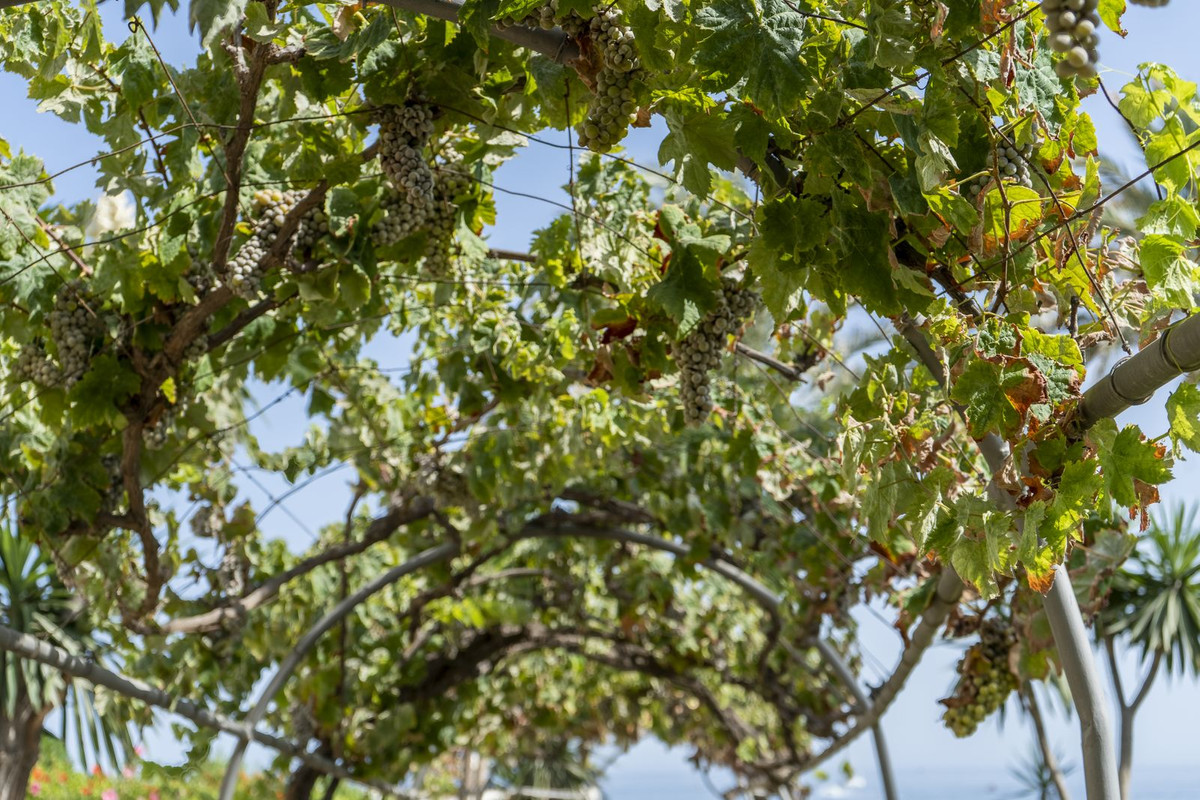 undefined thumbnail 29